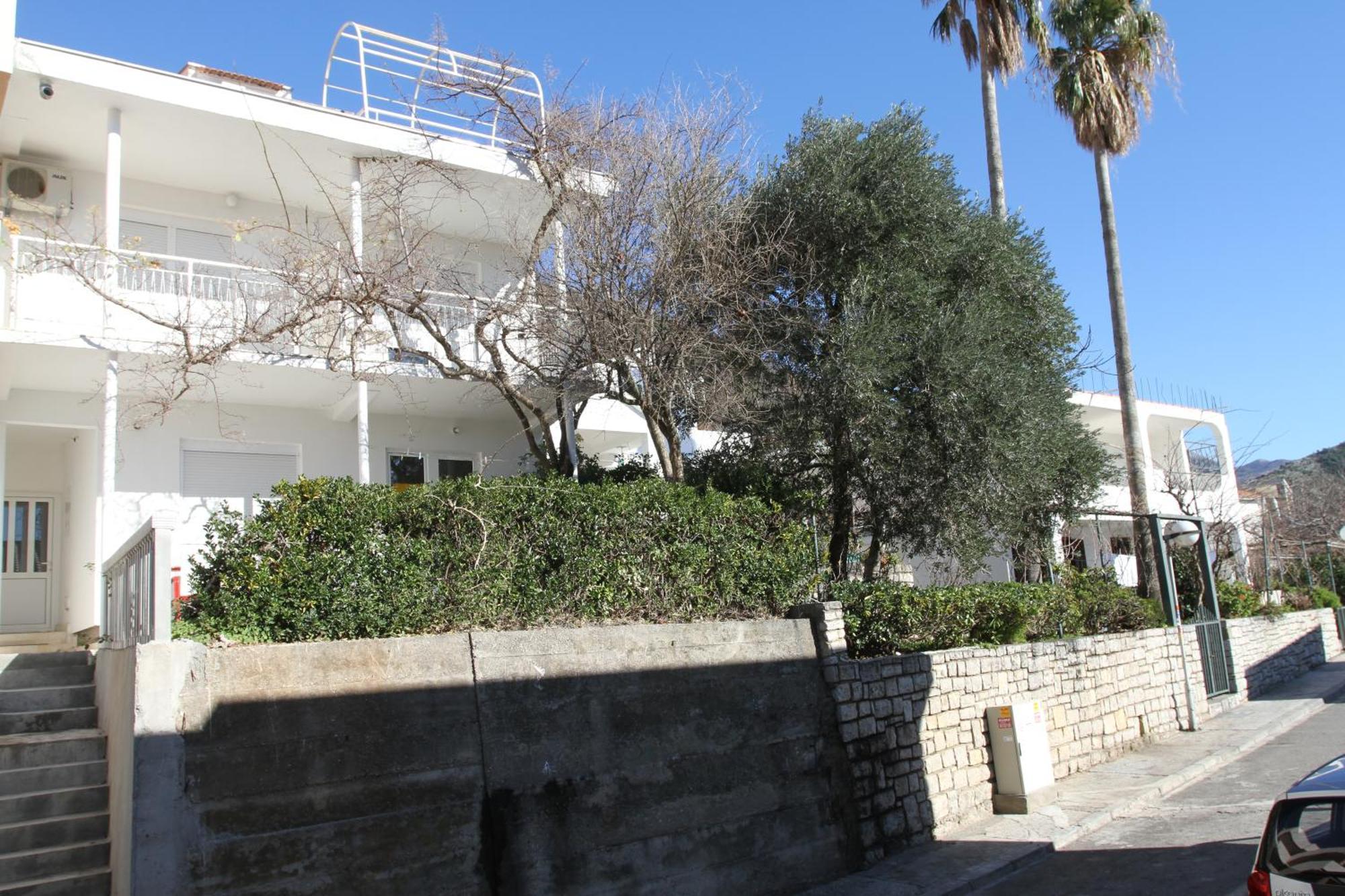 Apartments Popovic Petrovac المظهر الخارجي الصورة