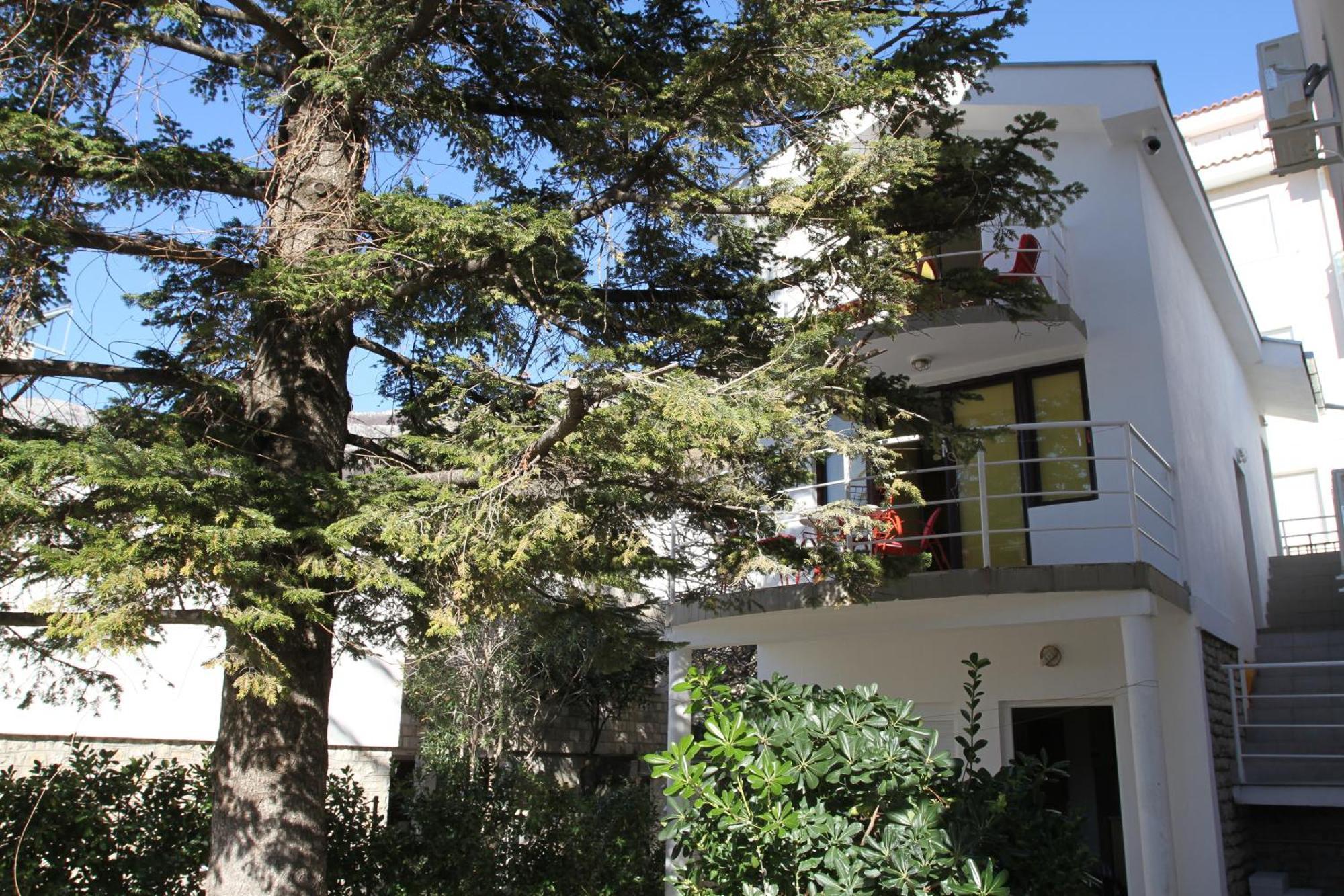 Apartments Popovic Petrovac المظهر الخارجي الصورة